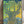 2011 'Stags Head' | Print