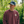 Signature | Premium Sweatshirt