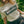 Wonderwall | White Organic Cotton T Shirt