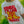 KC Originals | White Heavyweight Organic Cotton T Shirt
