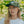 Script | Forest Green Cord Hat